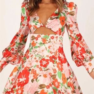 Petal & Pup Floral Mini Dress - Red, Green, Pink